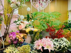 -蝶舍·MAISON PAPILLON