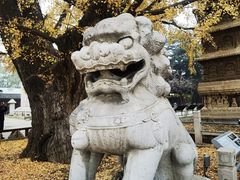 -北京石刻艺术博物馆(五塔寺)