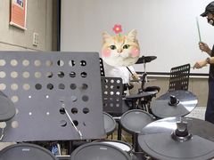 -罗兰数字音乐教育(徐汇校区)