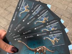 -自贡恐龙博物馆