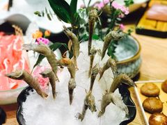 -尚海豆捞(乐虹坊店)