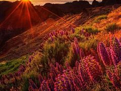 -乐潮汇时尚量贩式KTV(嘉业国际城购物中心店)