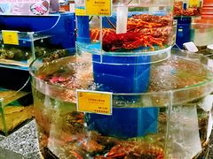 澳洲大龙虾-新海渔港·胶东海鲜家常菜·家宴(奥体中心店)