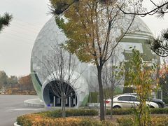 -太山飞越山西360极限飞球