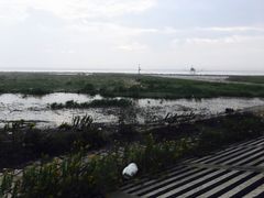 -南汇嘴观海公园