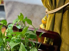 -纯泰泰式古法按摩SPA(丽景华庭店)