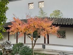 -秋霞圃