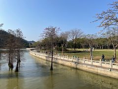 -顺峰山公园