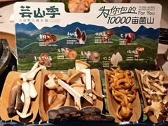 -芸山季·云南野生菌火锅(人民广场来福士店)