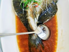 -圆苑(金茂店)