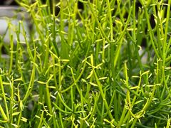 -北京植物园-展览温室