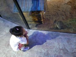 -酷嗒动物文化乐园(cutezoo西溪乐天城店)