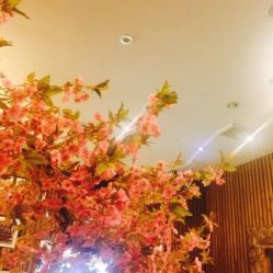 -红人馆造型世爵国际