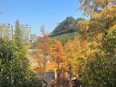 -长沙恒大文化旅游城