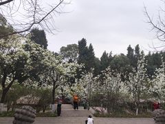 -富乐山