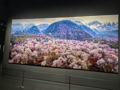 -罗红摄影艺术馆