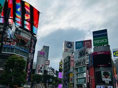 -涩谷全向十字路口