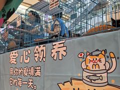 -洛阳市隋唐城遗址植物园