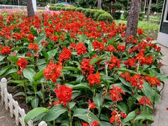 -黑龙江省森林植物园