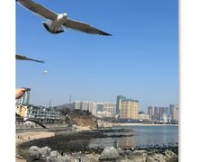 -黑石礁公园