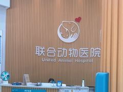 -联合动物医院(光谷诊疗中心)