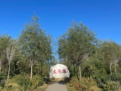 -呼兰河口湿地公园