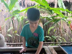 -大象粑粑造纸公园