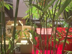 -瑶王府·广西菜(金阳路店)