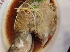 清蒸多宝鱼-晋阳饭庄(虎坊桥店)