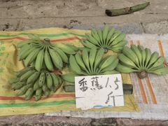 -扬美古镇景区