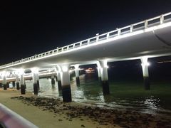 -演武大桥观景平台