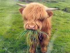 -忆相生活照相馆(苏州中心店)