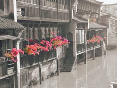 -乌镇东栅景区