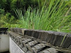 -石台牯牛降景区
