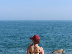 -广东惠东海龟国家级自然保护区