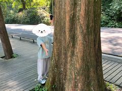 -青城山