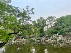 -文瀛公园