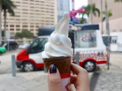 -富豪雪糕车流动点(尖沙咀)