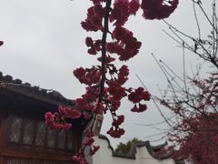 -乌山风景区