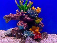 -海合安武汉极地海洋公园