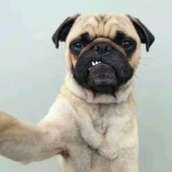 -苏豪路易士·嘉玛发廊