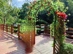 -广州白江湖森林公园