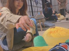 -逗柴咖啡屋·狗咖猫咖宠物桌游