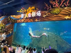 -太奥幻太奇海洋馆