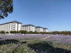 -扬州大学(扬子津校区)