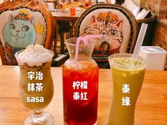 宇治抹茶sasa-more than meow吴止猫主题餐厅(承德 中船汇店)