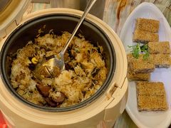 -椿记烧鹅(叠彩店)