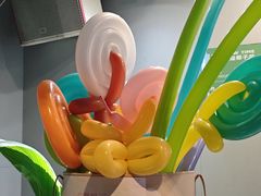 -探窝·竹笙椰子鸡(杨箕店)