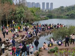 -重庆彩云湖湿地公园