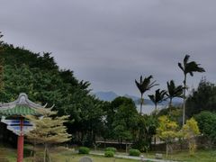 -东山风动石景区